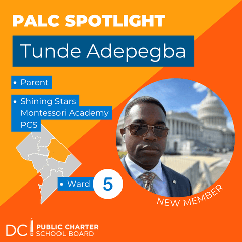 Tunde Adepegba